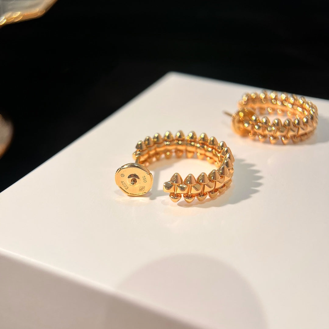 [Renovia Jewelry]CLASH EARRINGS